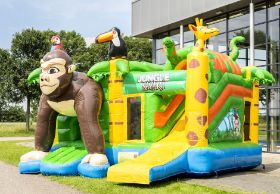 multiplay-safari-1-940x652.jpg